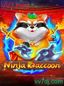 NinjaRaccoon